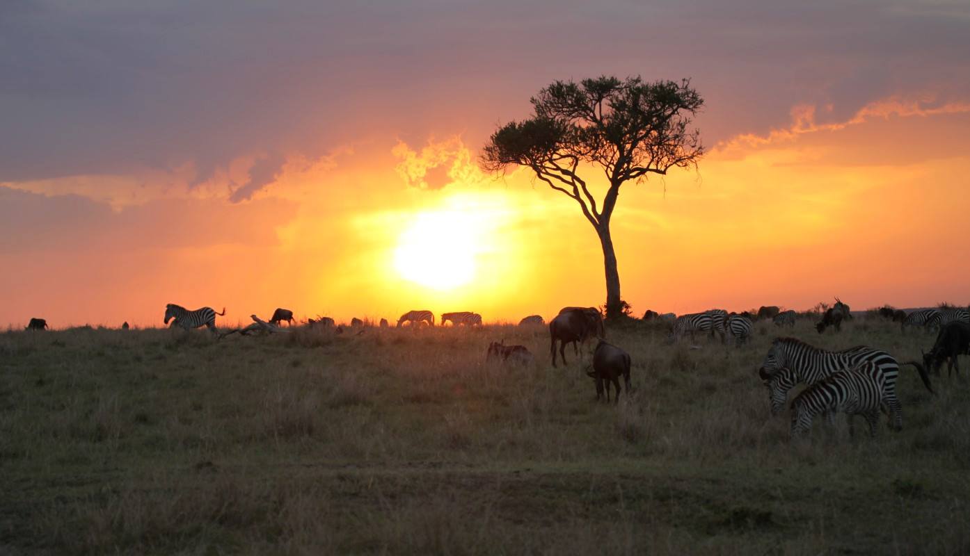 1401815_10151678721181021_1999891654_o