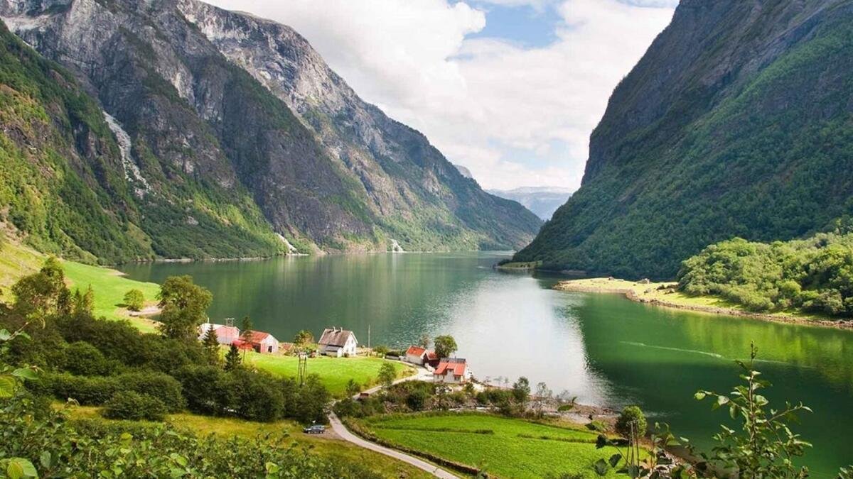 norvecturlari-9082025120714