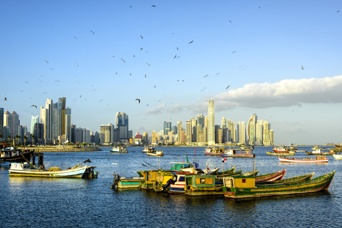 Fishing boats anchored in a harbor with the Panama City skyline in the background and seagulls flying overhead.